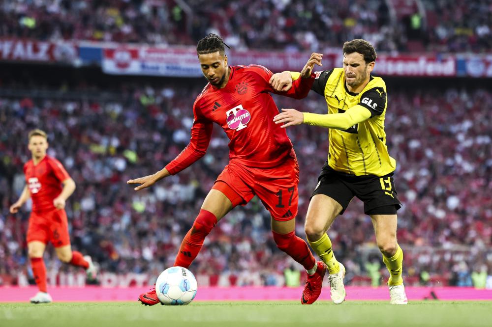 这对他们的 这对他们的